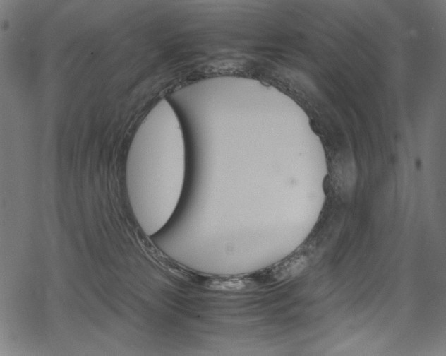 X0000069390181200605120953