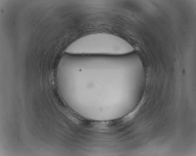 X0000069390182200605120953