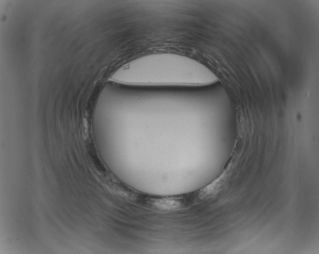 X0000069390183200605120953