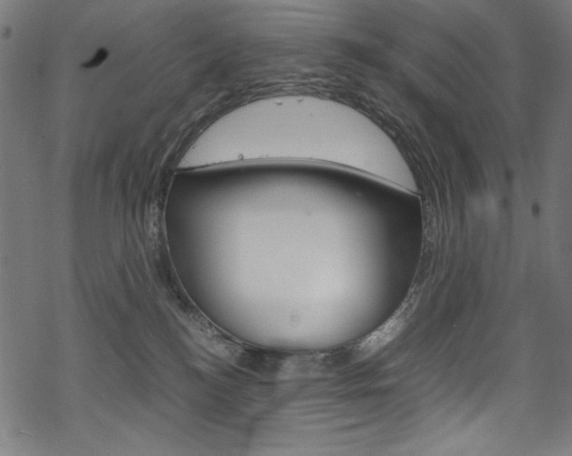 X0000069390184200605120953