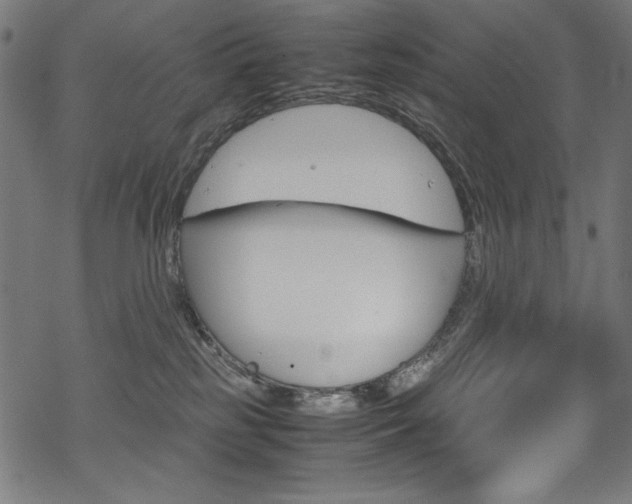 X0000069390185200605120953