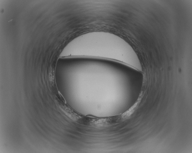 X0000069390186200605120953