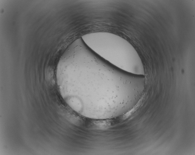 X0000069390187200605120953