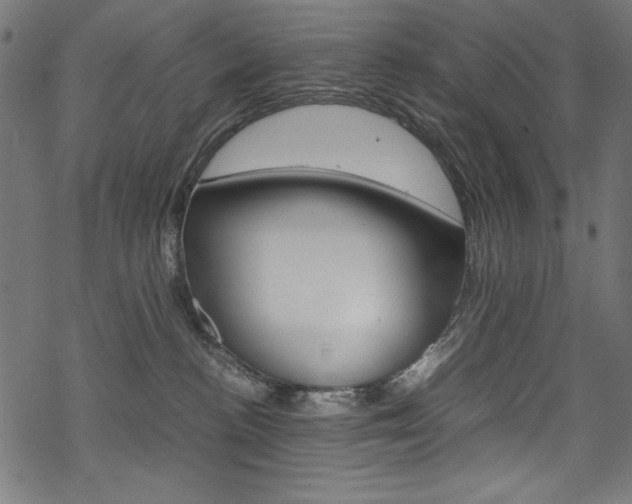 X0000069390188200605120953