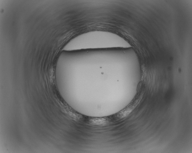 X0000069390189200605120953