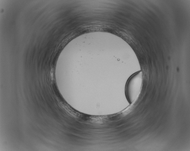 X0000069390190200605120953