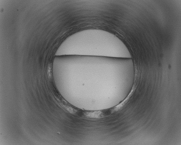 X0000069390191200605120953