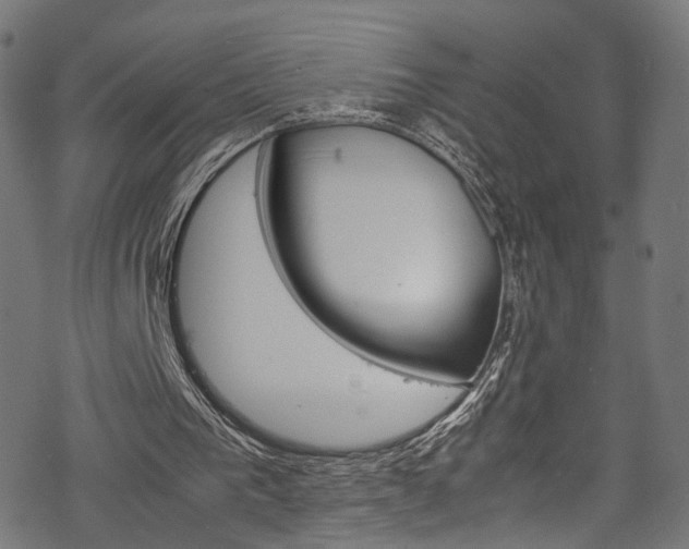 X0000069390193200605120952