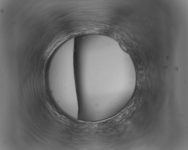 X0000069390194200605120952