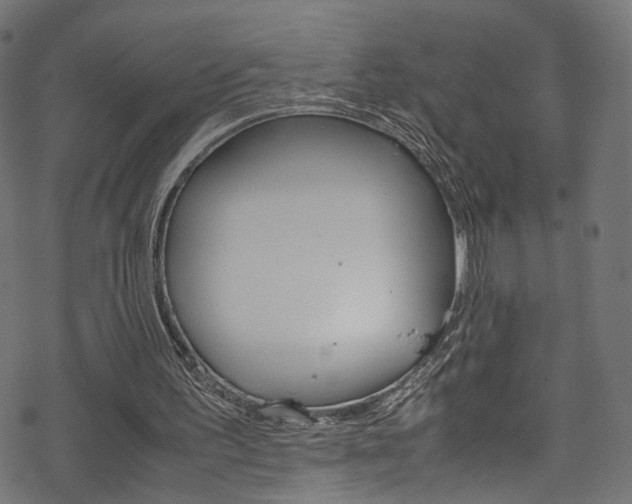 X0000069390195200605120952