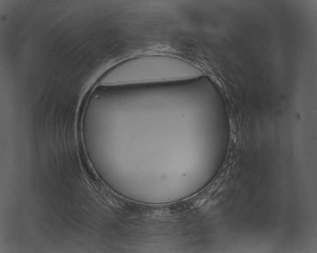 X0000069390196200605120952