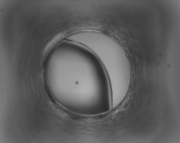 X0000069390197200605120952