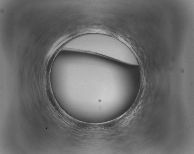 X0000069390199200605120952