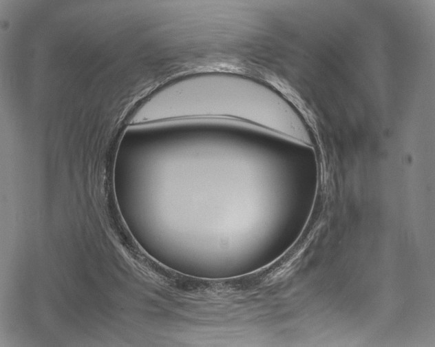 X0000069390201200605120952