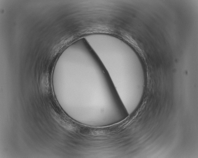 X0000069390202200605120952