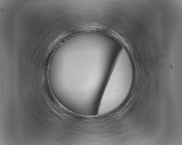 X0000069390203200605120952