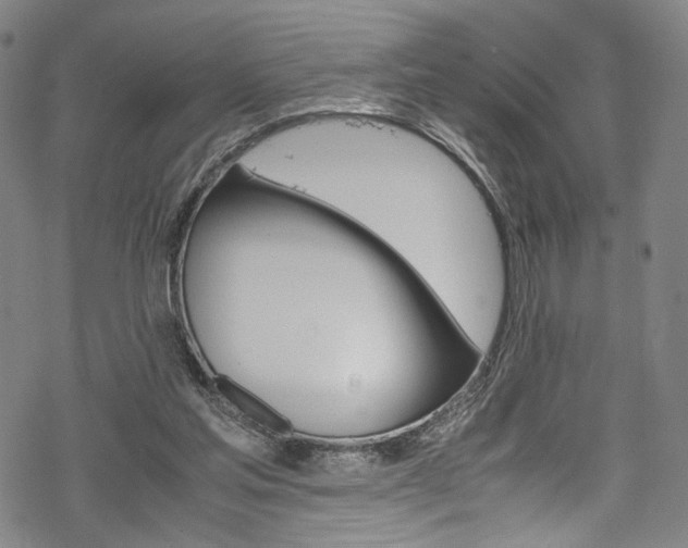 X0000069390205200605120952