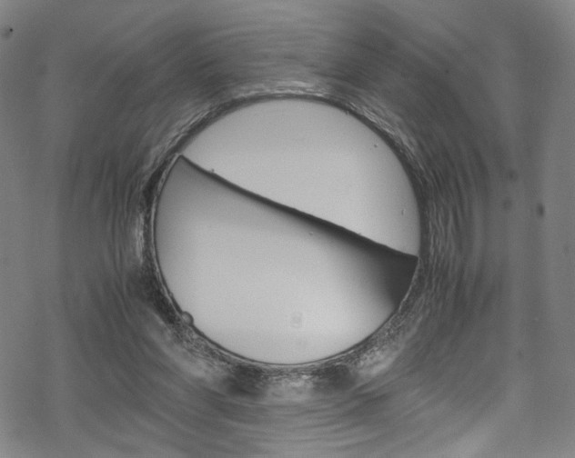 X0000069390206200605120952