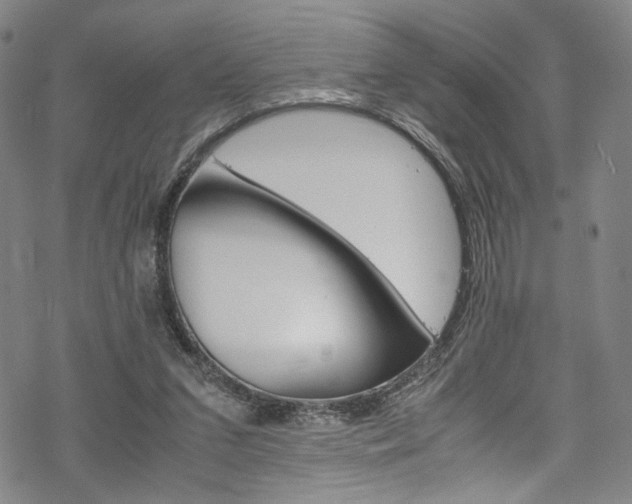 X0000069390207200605120952