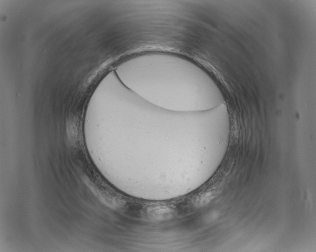 X0000069390208200605120952