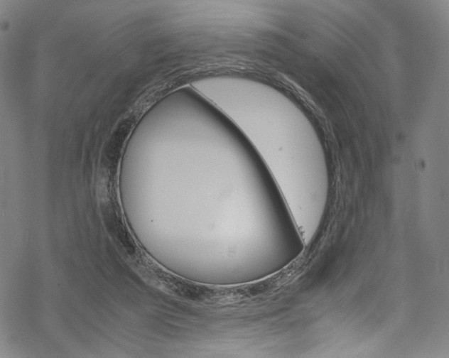 X0000069390209200605120952