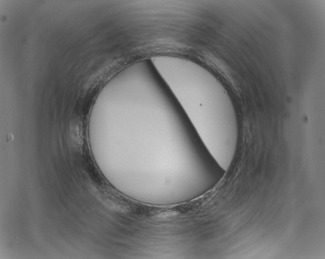 X0000069390210200605120952