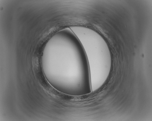 X0000069390211200605120952