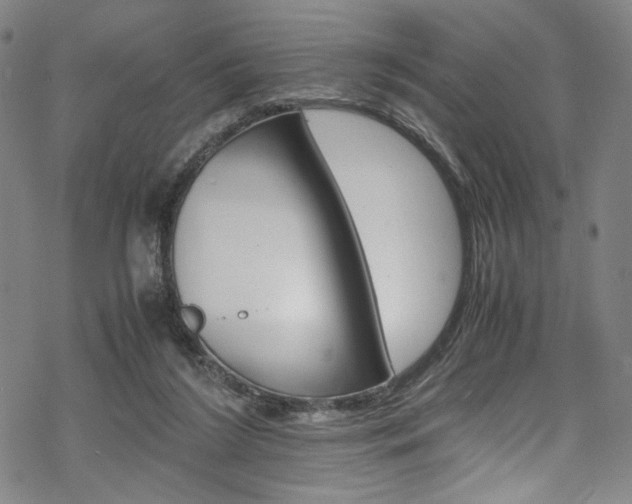 X0000069390212200605120952