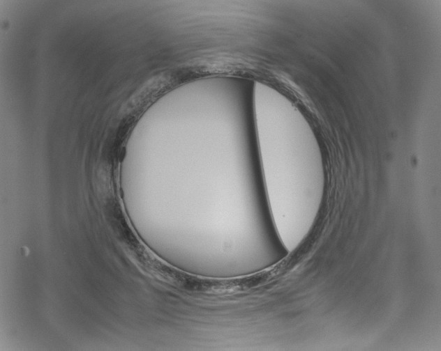 X0000069390213200605120952