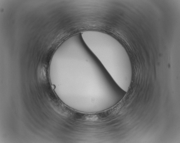 X0000069390214200605120952