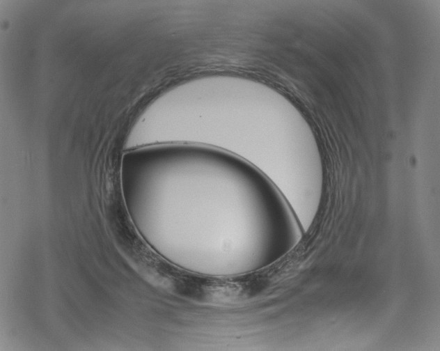 X0000069390215200605120952