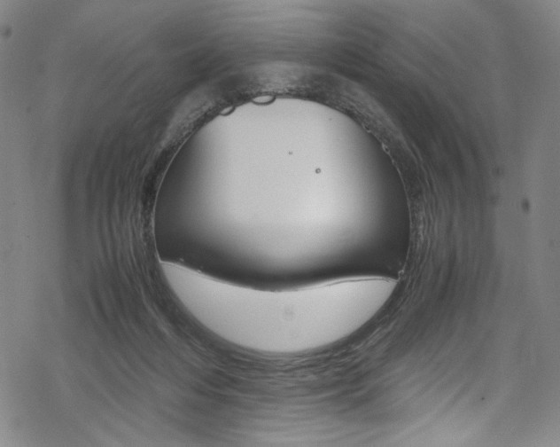 X0000069390216200605120952