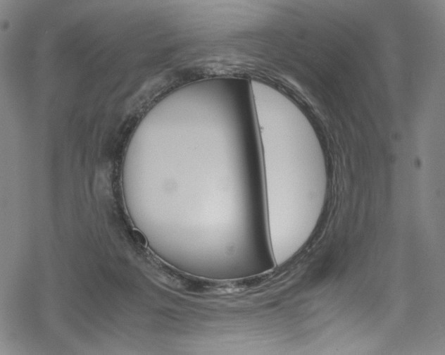 X0000069390217200605120952