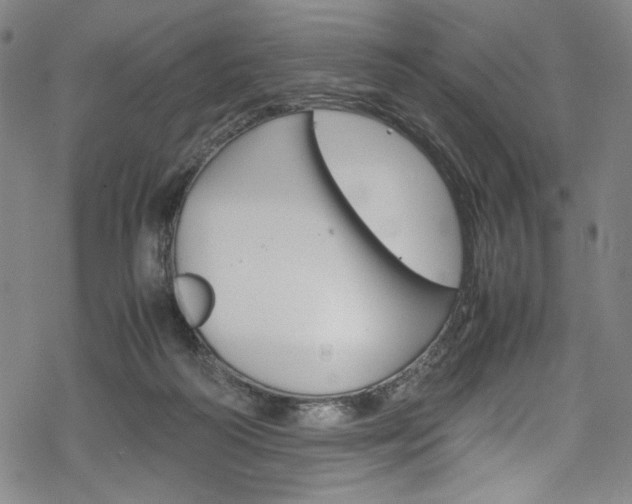 X0000069390218200605120952