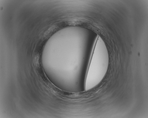 X0000069390219200605120952