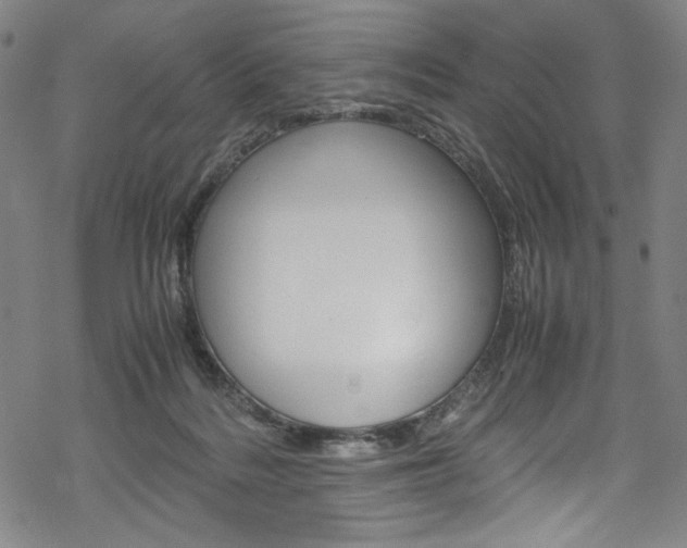 X0000069390220200605120952