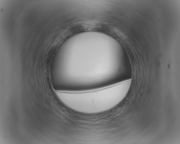 X0000069390221200605120952