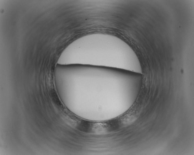 X0000069390222200605120952