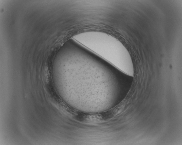 X0000069390223200605120952