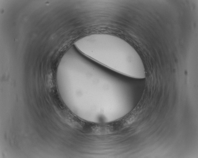 X0000069390224200605120952