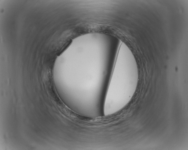 X0000069390225200605120952