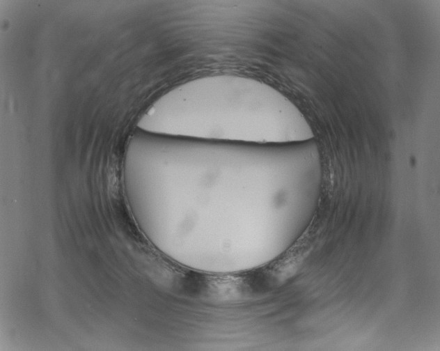 X0000069390226200605120952