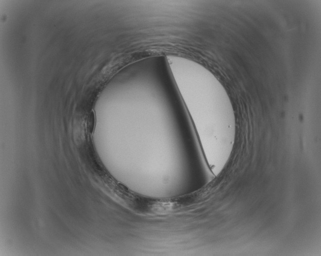 X0000069390227200605120952