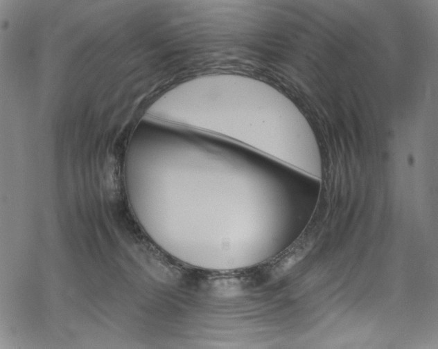 X0000069390228200605120952