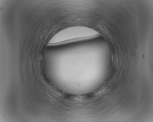 X0000069390229200605120952