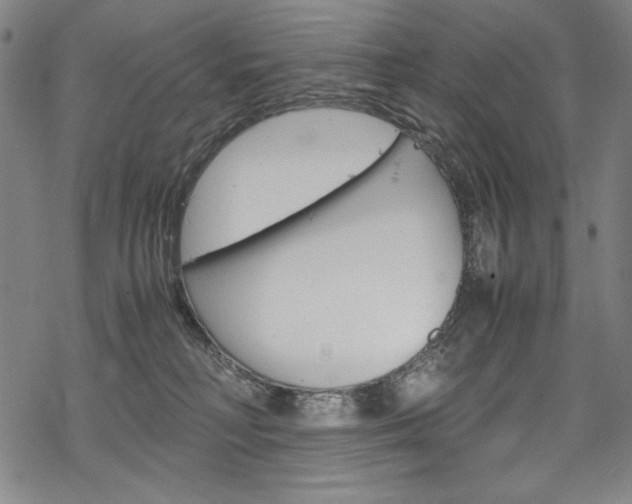 X0000069390230200605120952