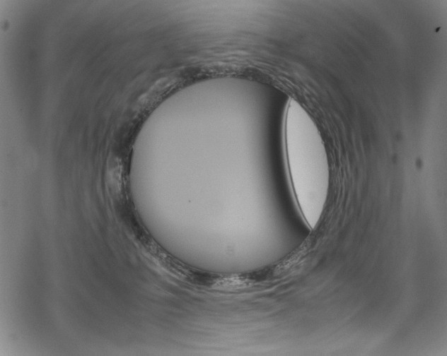 X0000069390231200605120952