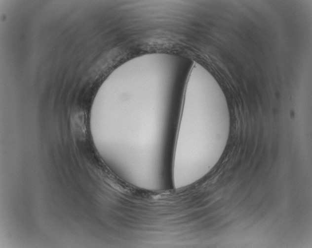 X0000069390232200605120952