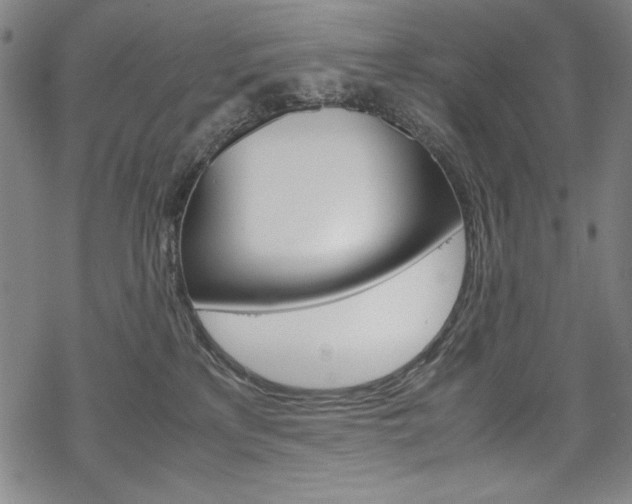 X0000069390233200605120952