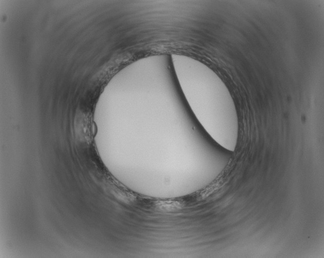 X0000069390234200605120952